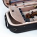 Artonus Violin case. Geeston-Fresco. Color. C-D4E